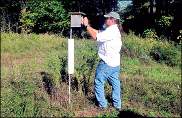 Monitor nest boxes