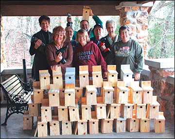 Building bluebird nest boxes and developing bluebird trails can be an excellent community project