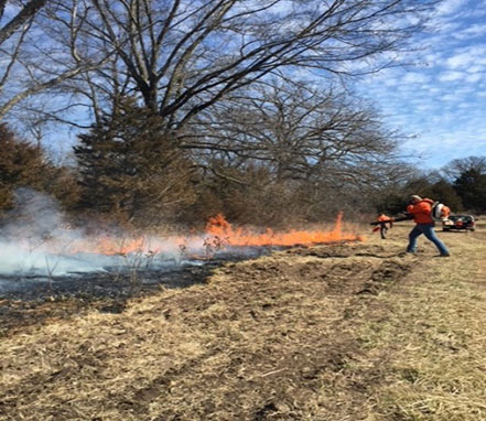 prescribed burn