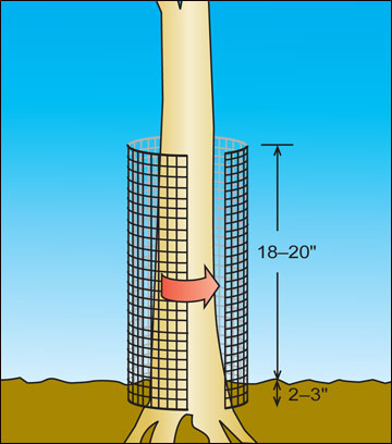 A cylinder of hardware cloth