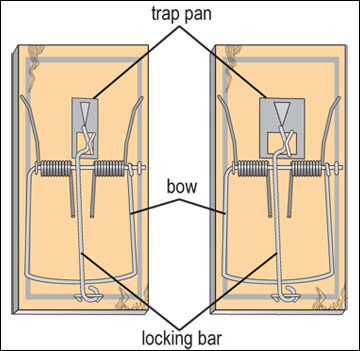 Snap traps.