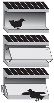 Increased angle of the ledge to at least 45 degrees