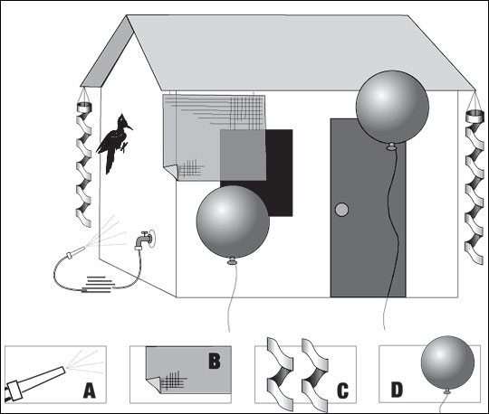 Woodpecker damage-control methods