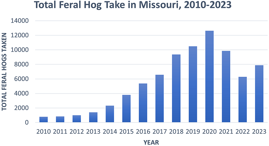 bar chart depicting feral hog take in Missouri from 2010 to 2023. Total feral hogs taken rises each year until 2020, when a downward trend begins. The number of hogs taken in 2023 is slightly higher than in 2022.