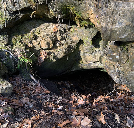 A crevice under a rock that leads to a bear den.
