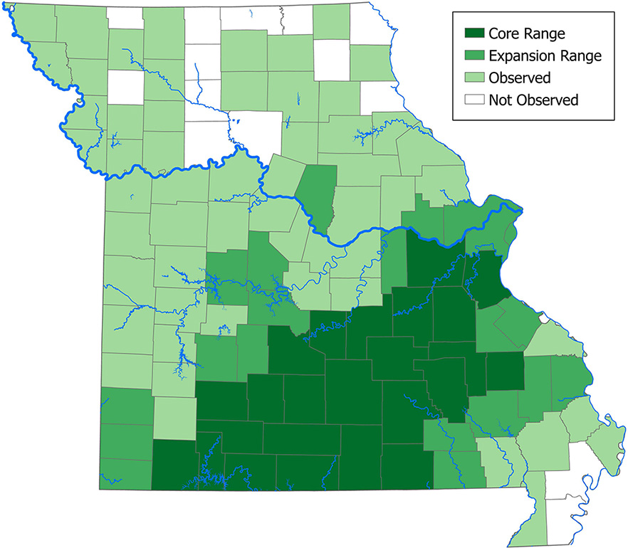Map of the state of Missouri indicating black bear range.