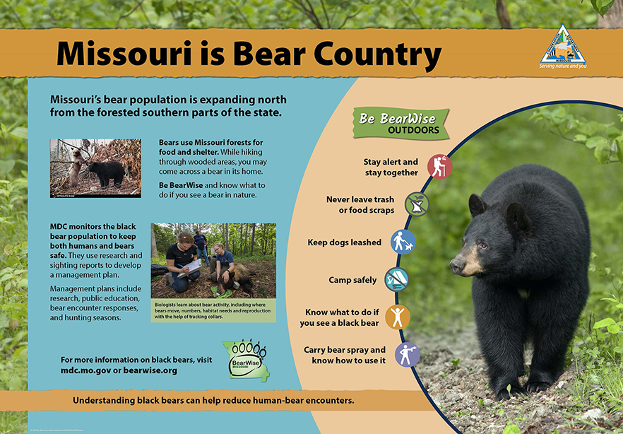 Black bear photos with information on how to prevent conflicts between humans and bears.