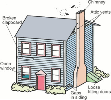 Bats can enter homes through a number of locations