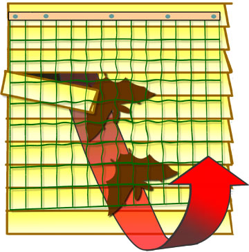 Using bird netting to exclude bats from a house.