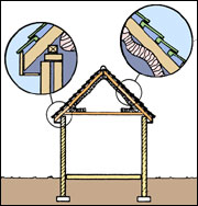 A properly insulated roof will keep bats out.