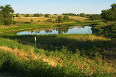 Watershed pond with earthen levee.