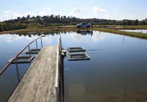 Watershed pond.