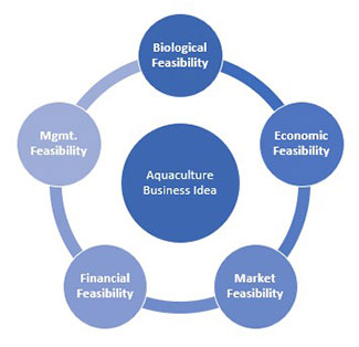 Chart for important aspects to consider before starting an aquaculture business.