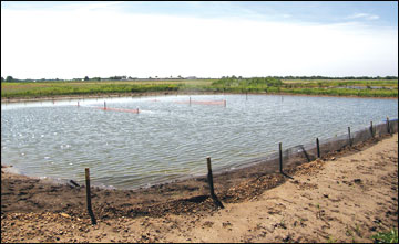 A properly constructed pond