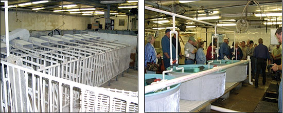 Swine barn converted into aquaculture facility