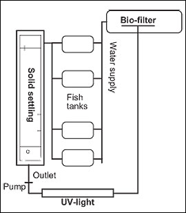 Proposed layout