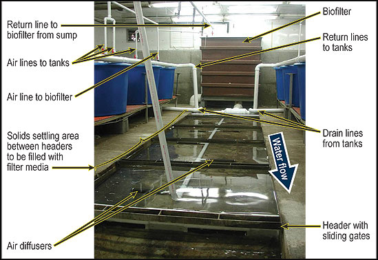 Components and the water and air flow