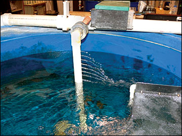 photo of a recirculating aquaculture system showing valve