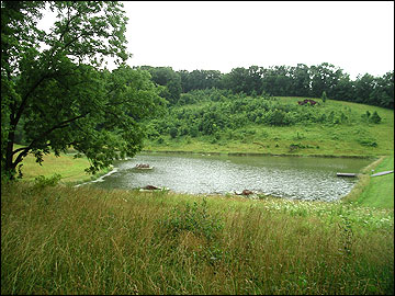 Private pond