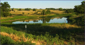 Private ponds provide recreational opportunities
