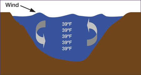 Pond circulation without thermal stratification