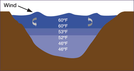 Pond circulation experiencing thermal stratification