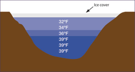 Thermal stratification during winter
