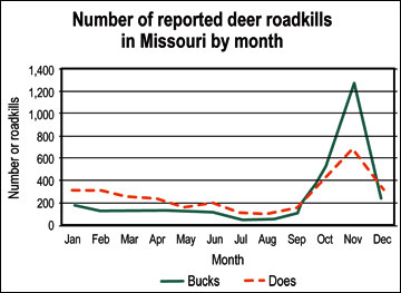 Estimating Deer Populations on Your Property: Population Dynamics • Air ...