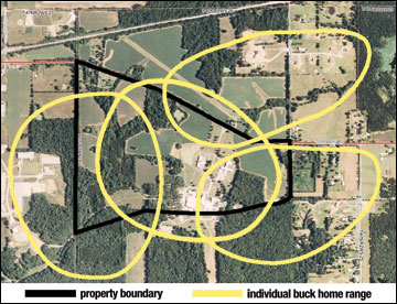 The home range of deer may cross property boundaries