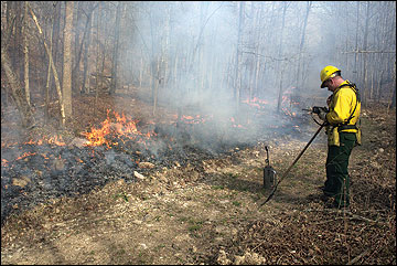 The use of a prescribed fire