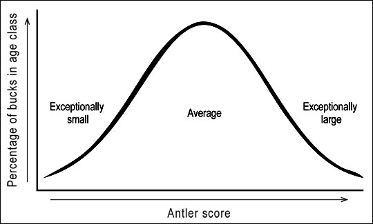 Antler scores