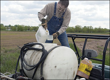 Weeds may need to be controlled with herbicides