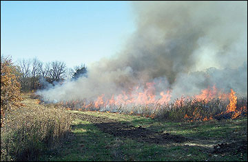 Establish fire lanes around areas to be burned