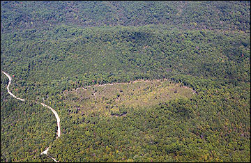 Clearcut shown in the center of this aerial photo