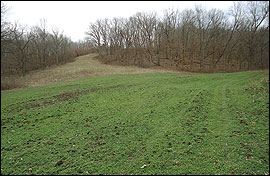 Permanent openings can be created within a forest stand to provide habitat diversity