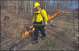 Prescribed fire