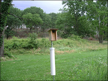 Nest box