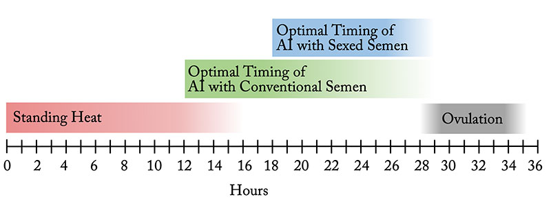 AI timing chart.