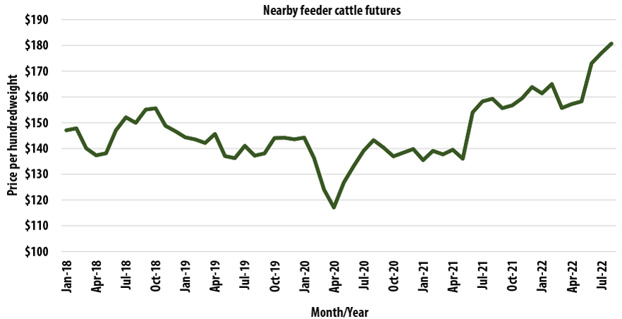 Line graph showing nearby feeder cattle futures from January 2018 to July 2022.