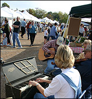 A musician playing at a farmers market. Brian Piotrowski photo.