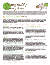 Green Cleaning cover