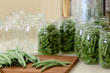 Green beans prepared for canning