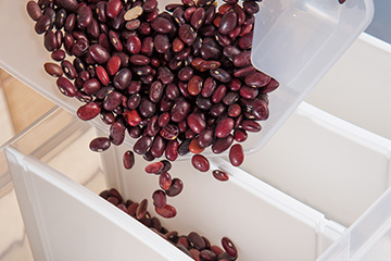 Pouring dry beans into storage containers