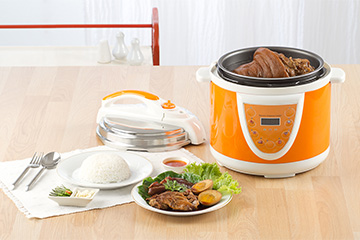Electric pressure canner