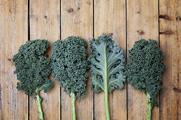 Fresh kale leaves