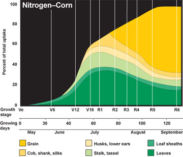 Nitrogen uptake