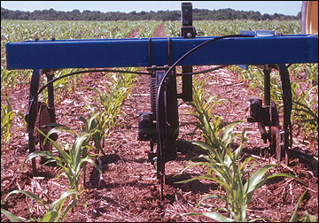 Nitrogen application to growing crops