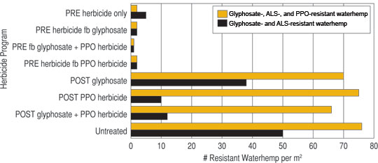 Influence of soybean herbicide programs