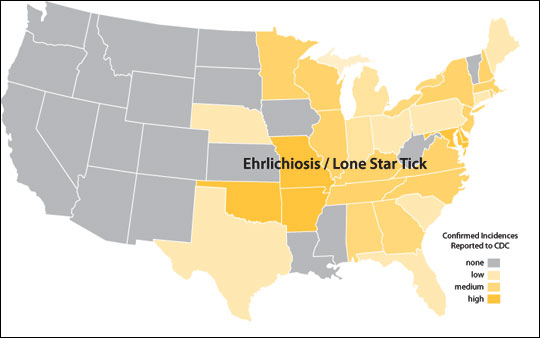 Distribution map of human ehrlichiosis