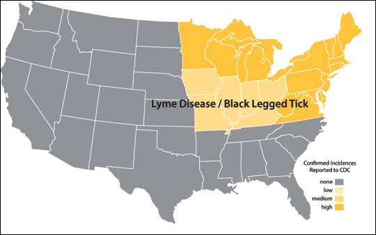 Distribution map of Lyme disease